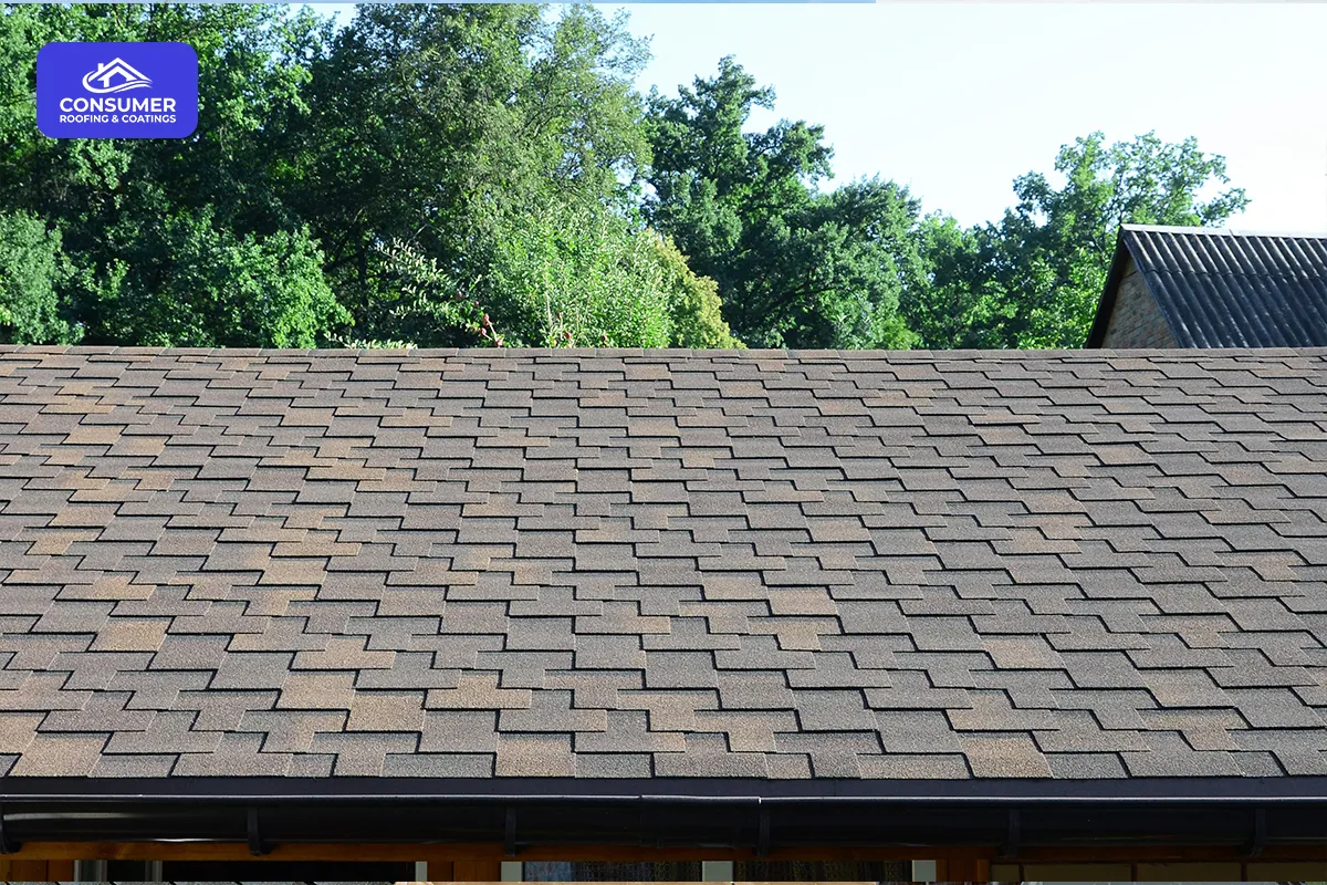 New Asphalt Shingles on Residential Building